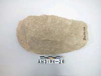 藏品(打製石斧)的圖片